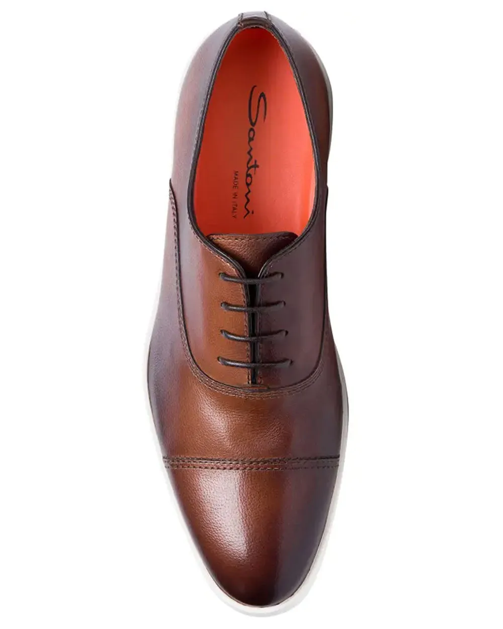 Behemoth Sneaker in Dark Brown