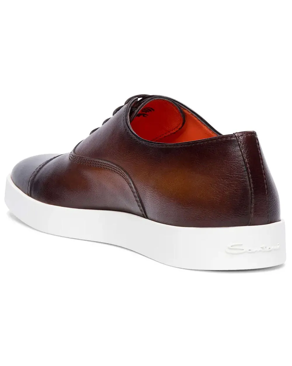 Behemoth Sneaker in Dark Brown