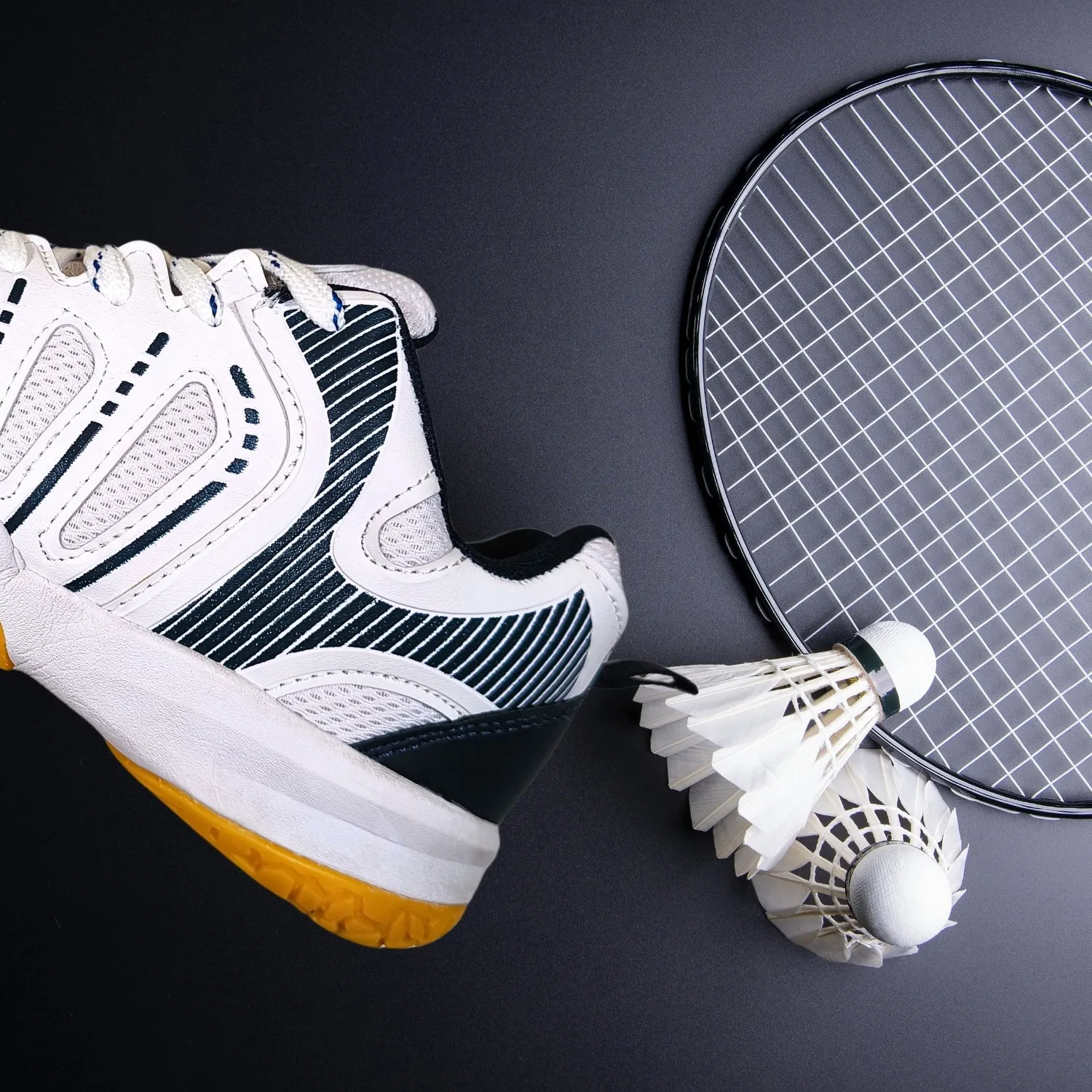 Prokick Storm Court Badminton Shoes